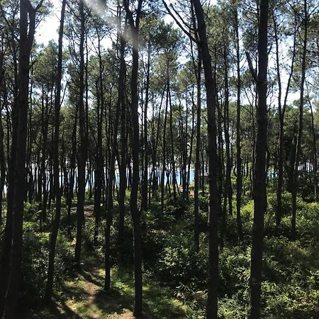 Hotel Shekvetili Shekhvetili Bagian luar foto