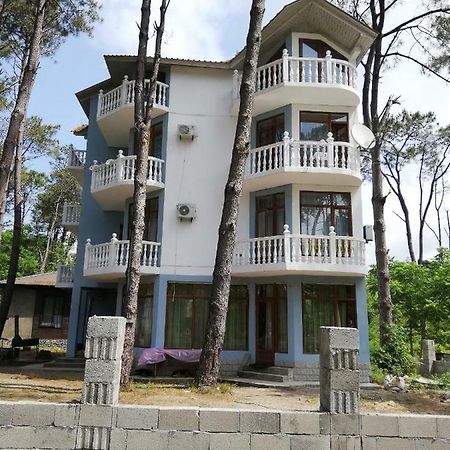 Hotel Shekvetili Shekhvetili Bagian luar foto