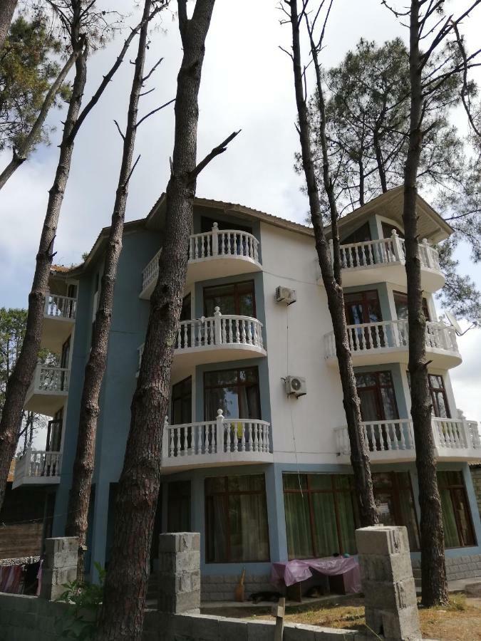 Hotel Shekvetili Shekhvetili Bagian luar foto